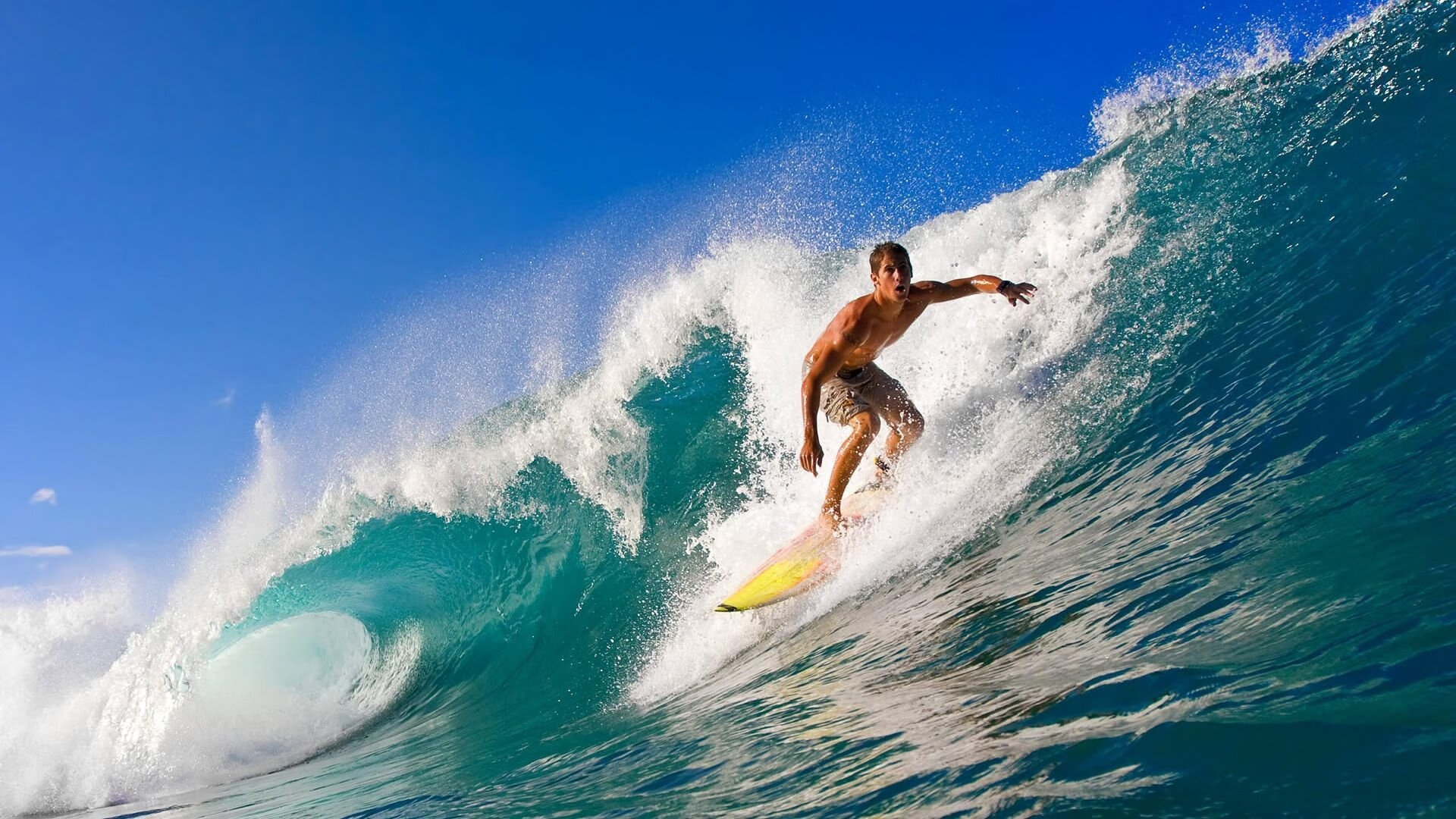 仰泳赛道中立代表队A选手节奏精准，仰泳 2017