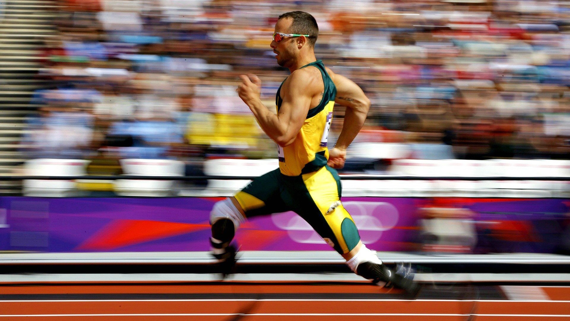 绿色场馆引领行业发展，未来足球场馆不仅环保还能智能，足球场设施